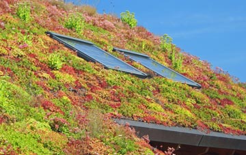 Auchterarder living roof systems